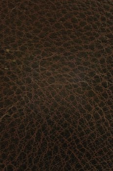 Grunge Texture background of Brown Cow leather