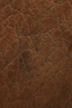 Elephant Leather texture background for use as web element or background