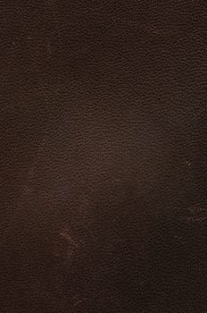 Grunge Texture background of Brown Cow leather