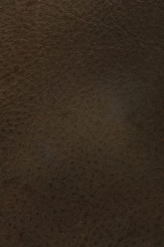 Brown Cow leather texture background for use as web element