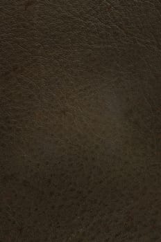 Grunge Texture background of Brown Cow leather