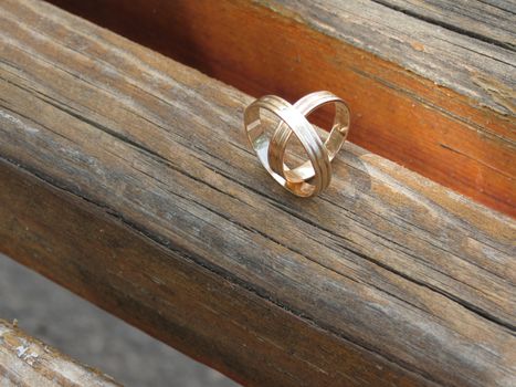    Two rings in a heart-shaped stand on a wooden bench                            