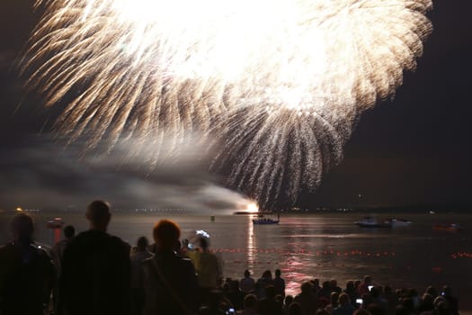 A big explosion of the fireworks in the night