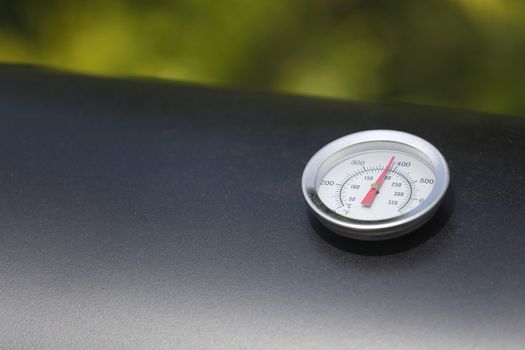 The small oval therometer on the table macro