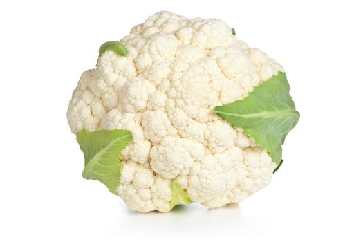 Cauliflower on white background. Studio macro shot