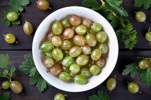 Gooseberries in bowl on table background. Top view