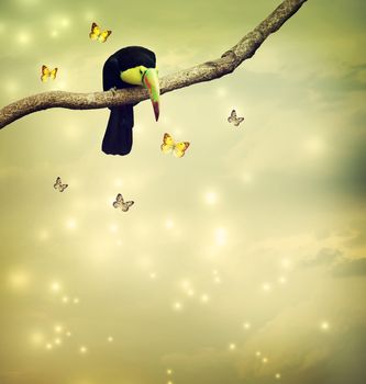 Toucan looking at butterflies from a tree branch