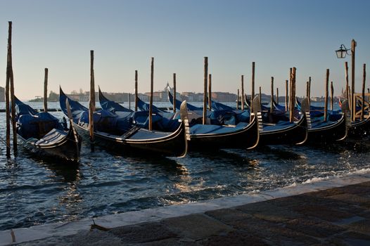 Gondolas. Morning light. Venice