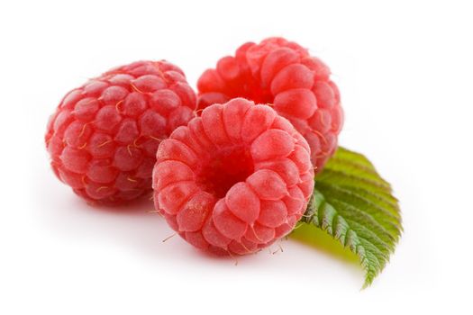 Three fresh raspberry fruit isolated on white