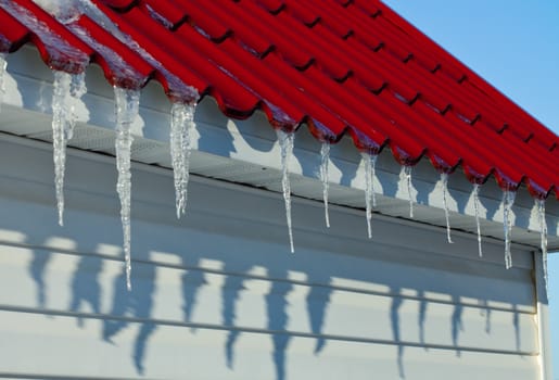 Melting icicles . Spring