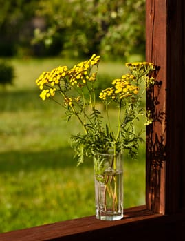 Summer yellow flowers