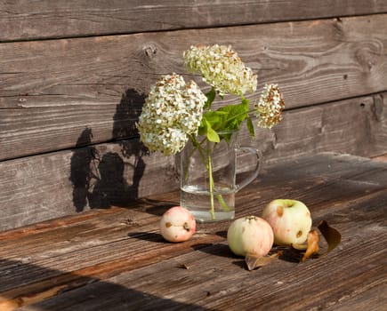 Autumn Flowers and Apples