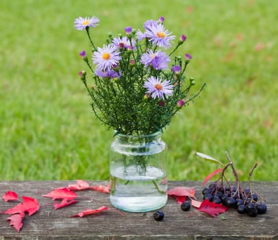 Autumn flowers and black chokeberry