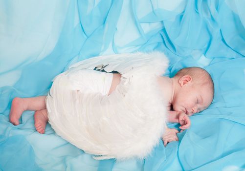 newborn child with wings of an angel sleeps on a blue background