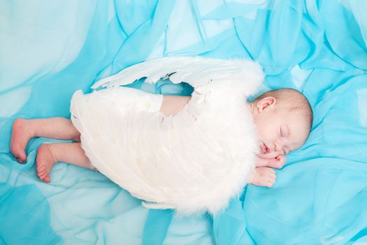 newborn child with wings of an angel sleeps on a blue background