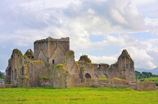 St. Patrick's Cathedral and green grass in Dublin, Ireland