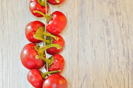 Red chilli in a row on a wooden bakground