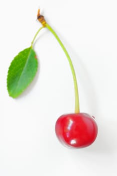 ripen cherries on a white background