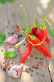 bunch of red hot chillies, tied by rope