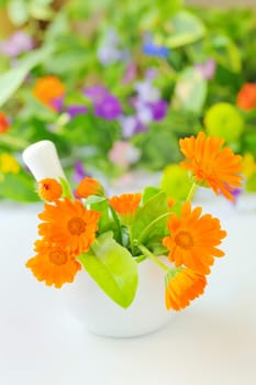 Calendula flowers and mortar