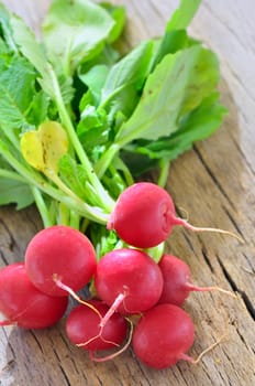 Small garden radish isolated on old wooden background