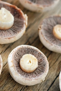 brown mushrooms 