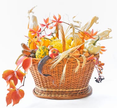Autumnal basket over white 
