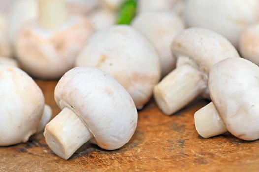 closeup of raw flat mushrooms 
