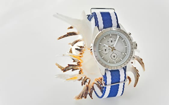 watch and shell