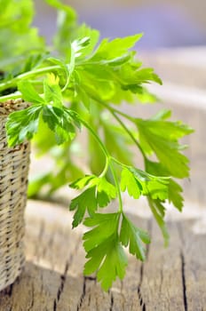 parsley in braided basket isolated