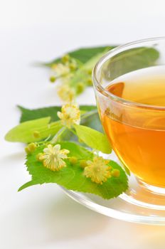 Glass cup of tea with linden isolated on white