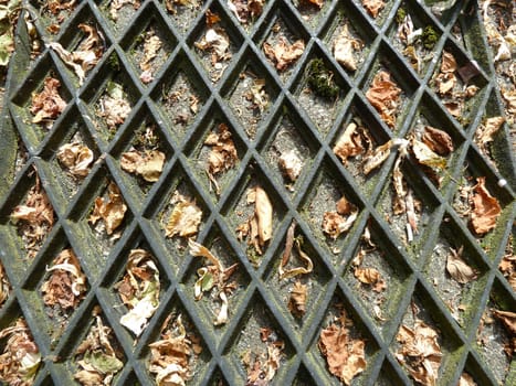 Black rubber door mat covered with leaves