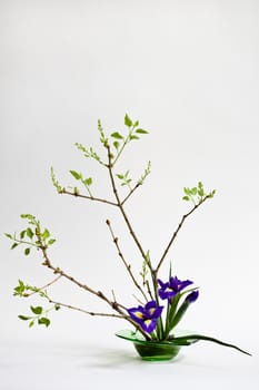 Ikebana with irises and lilac on the light background