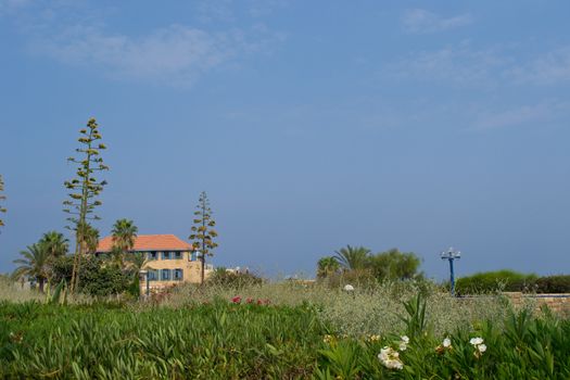 House and trees of Old Jaffa,Tel Aviv