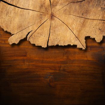 Wooden background with trunk section and shadows