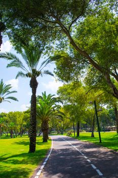View of summer park Yarkon in Tel Aviv,Israel