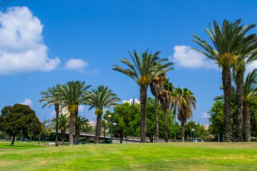 View of summer park Yarkon in Tel Aviv,Israel