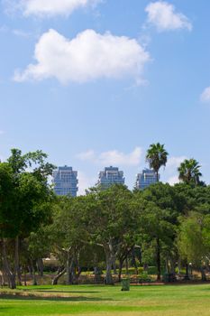 Modern building framed by green trees with cloudy sky