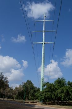 Wires of electricity transmissions and trees