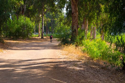 A photograph of a road in summer,Israel,Tel Aviv,park Yarkon