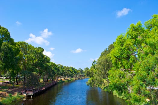 View of summer park Yarkon in Tel Aviv,Israel