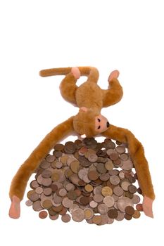 Pile of coins and a monkey isolated on white background