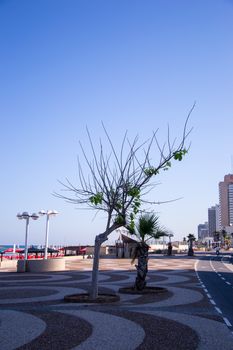 View of Tel Aviv beach in sunlight day