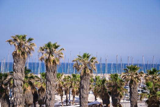 View of Tel Aviv beach in sunlight day