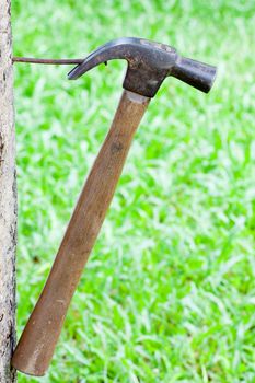 wooden hammer