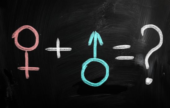 man and woman sign drawn with chalk on blackboard