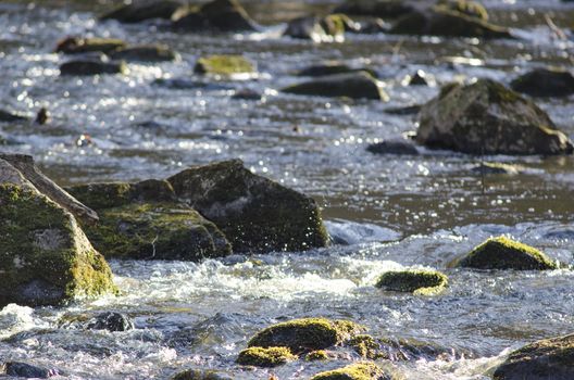 Detail of a small mountain river in spring