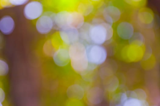 bokeh blurred out of focus background