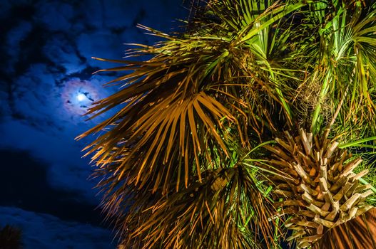 night scenes at the florida beach with super moon brightness