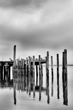 Vertical Reflection of Weathered Pier in Black and White at Bodega Bay